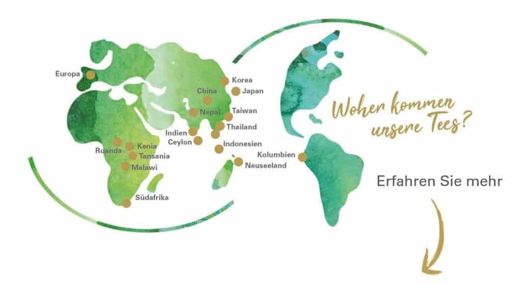 Tee - Wissen - Tee Tea Thé