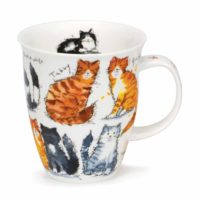 Messy Cats - Nevis 0,48l