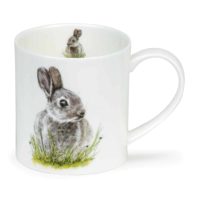 Bunny - Orkney 0,35l