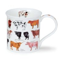 Animal Breeds Cow - Bute 0,3l