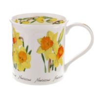 Spring Flowers Daffodil - Bute 0,3l