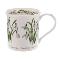 Spring Flowers Snowdrop - Bute 0,3l