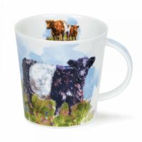 Belted Galloway - Cairngorm 0,48l