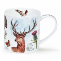 Scottish Notebook Stag - Orkney 0,35l