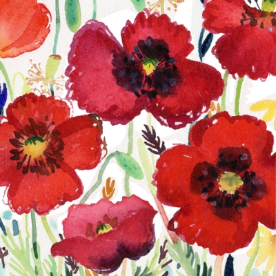 Blumen & Natur Dunoon