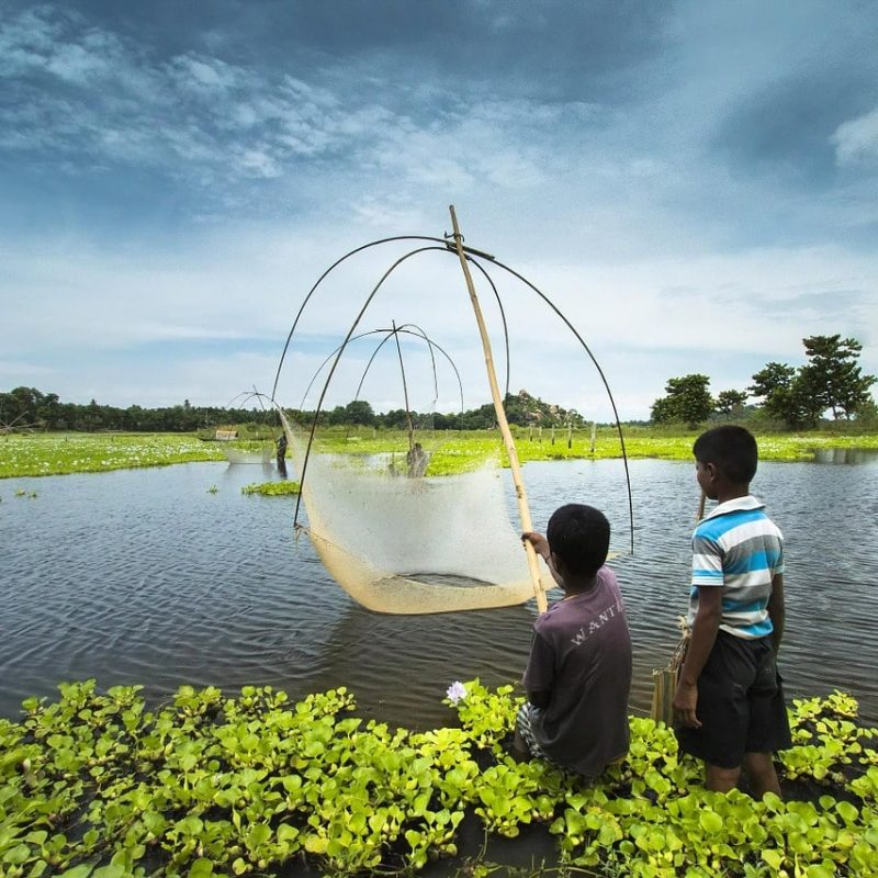 fishing, assam, india